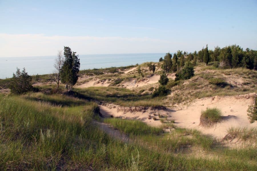 The dunes at Pinery. Yes, this is still Ontario.