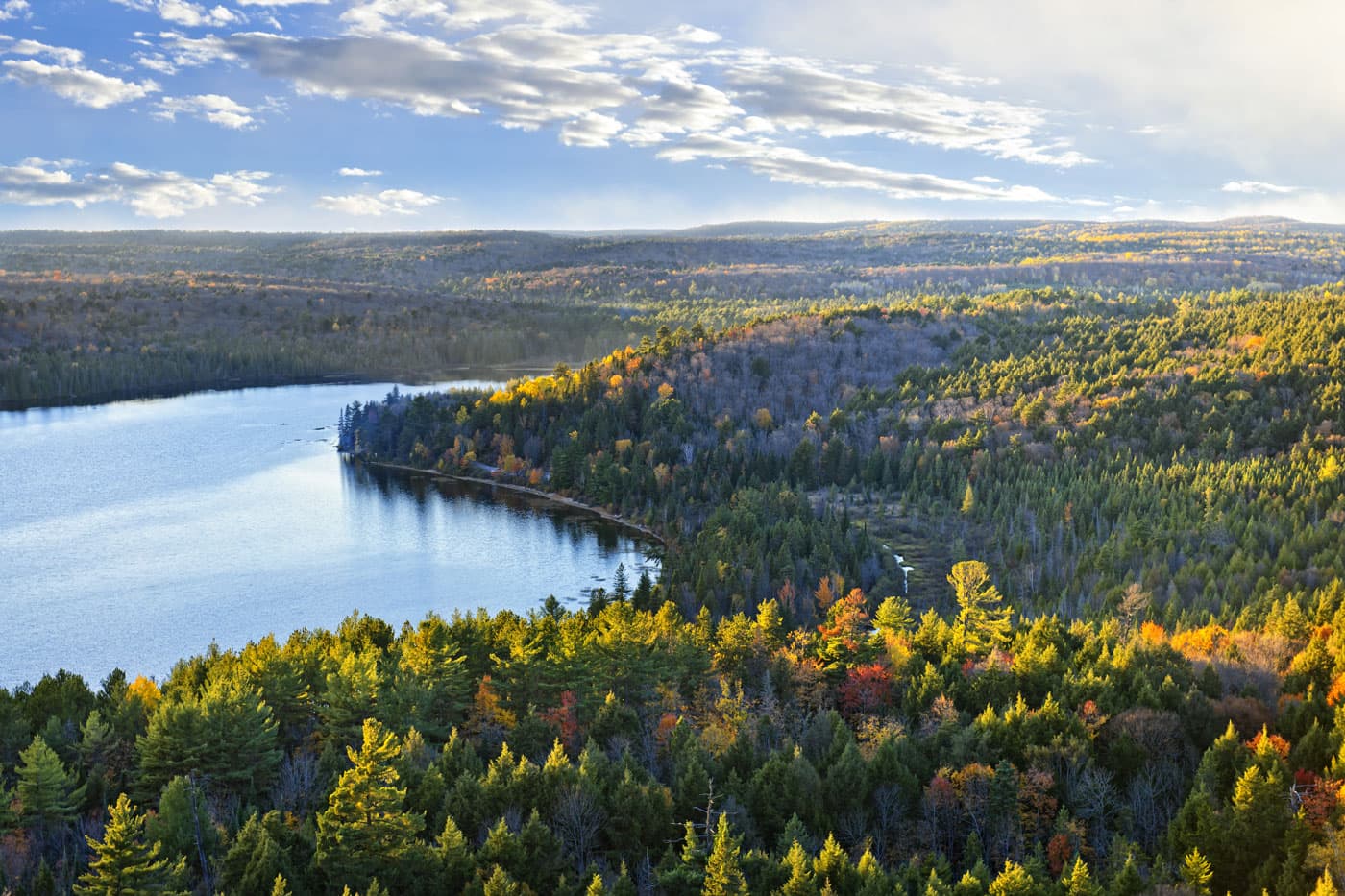 Fall colour across the forest and lakes of Algonquin Provincial Park, from above