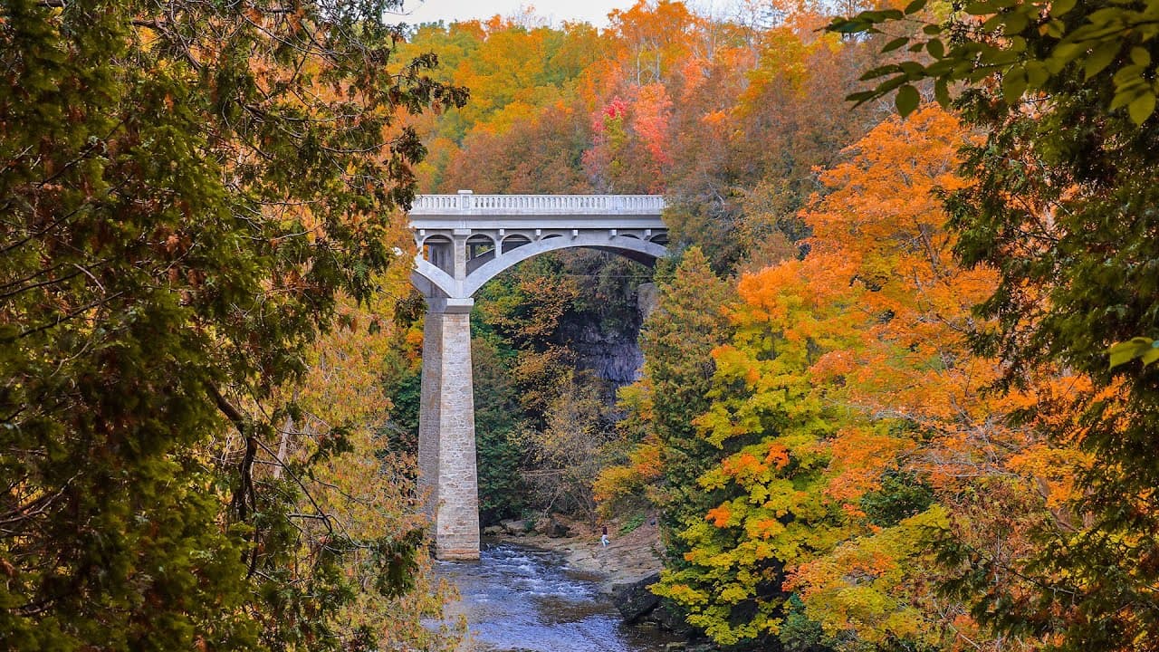 The David Street bridge over Elora Gorge, framed by orange and yellow trees in autumn