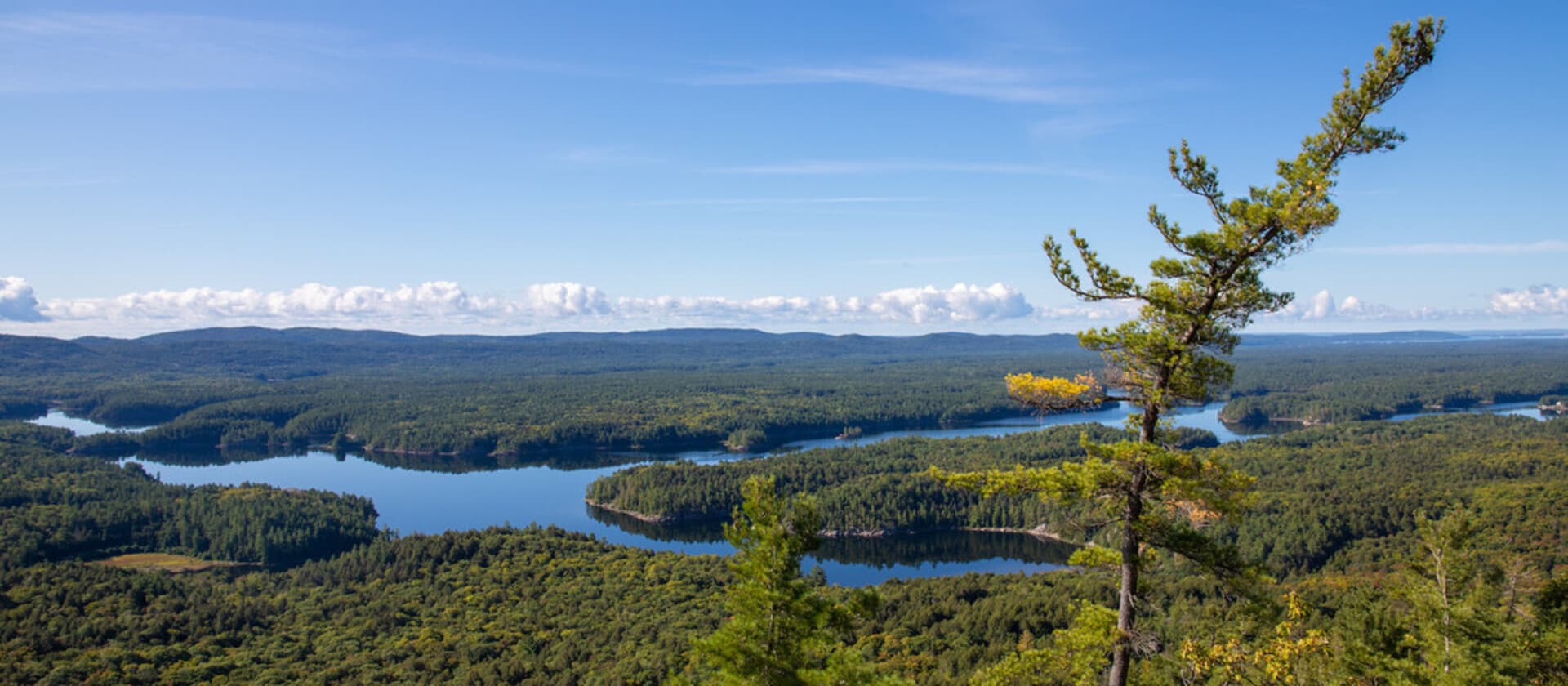 Lakes and forest stretching to the horizon from a lookout at Killarney Provincial Park