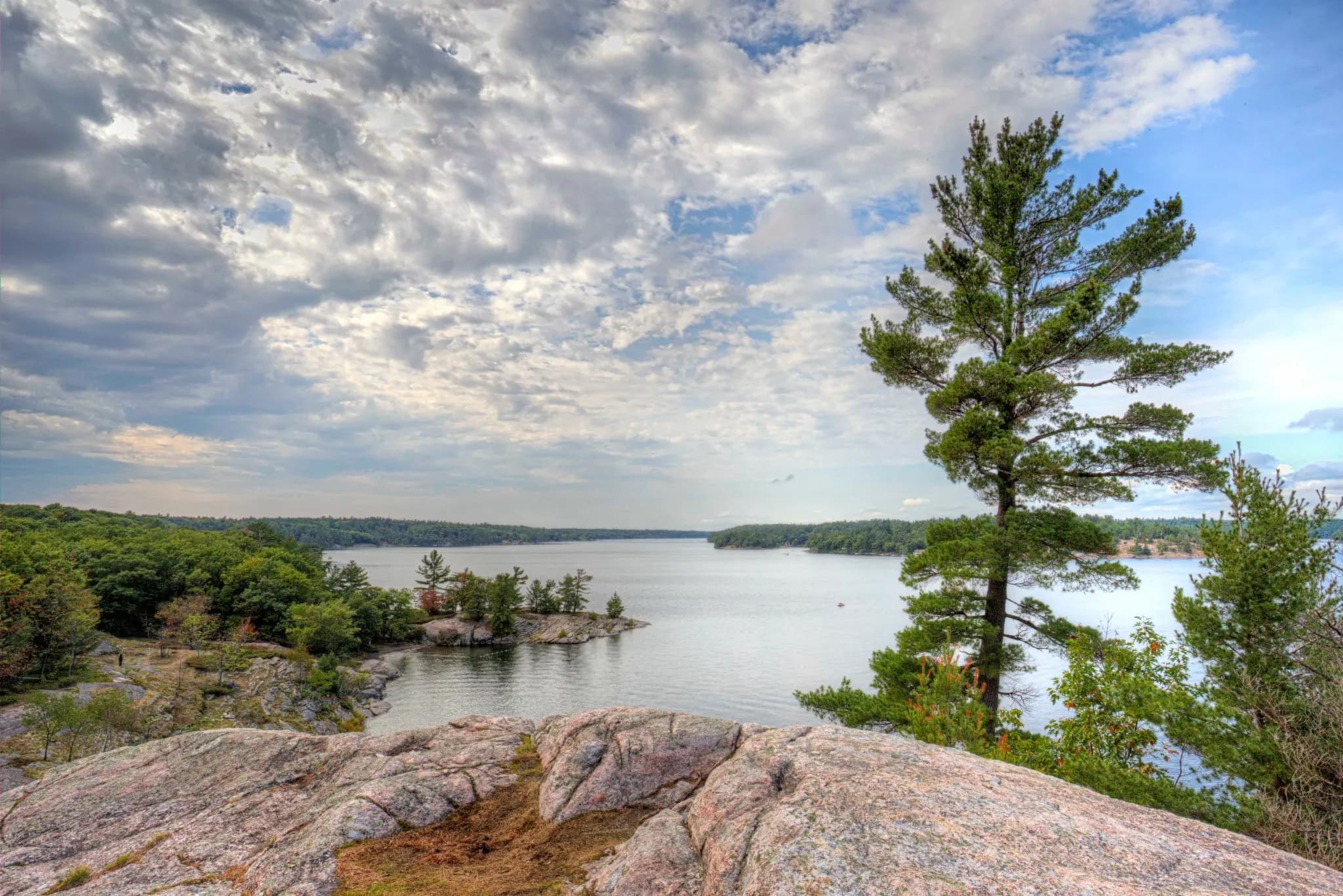 A white pine on pink granite above the islands of Georgian Bay at Killbear