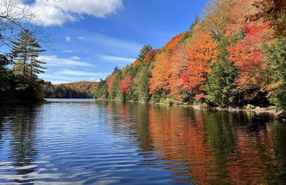 A still lake at Limberlost with a hillside of orange and red maples reflected in it