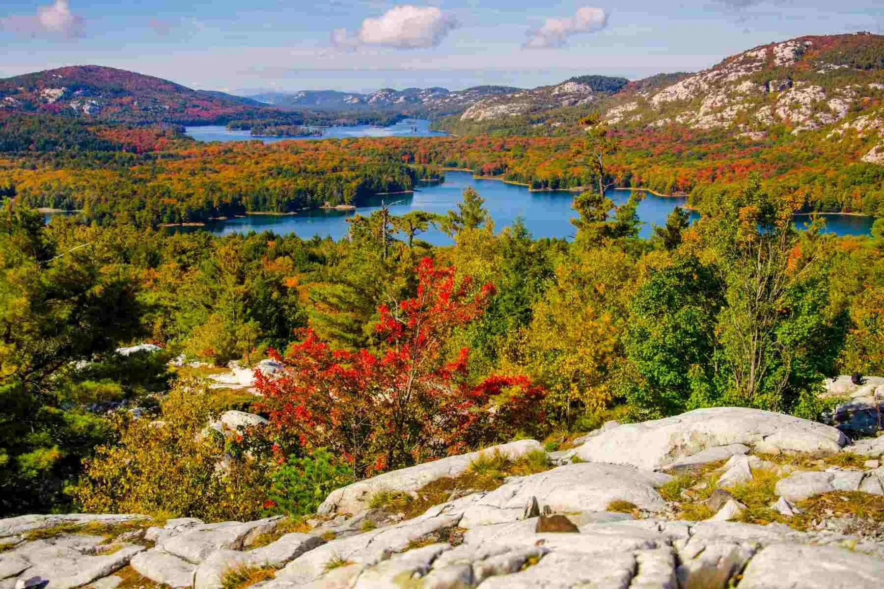 Blue lakes below red and orange fall forest and the white quartzite ridges of Killarney Provincial Park
